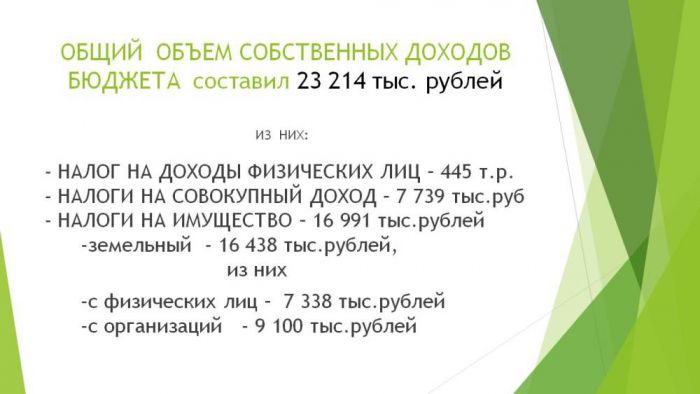 Муниципальное образование Сельское поселение деревня Асеньевское Отчет о проделанной работе за 2019 год